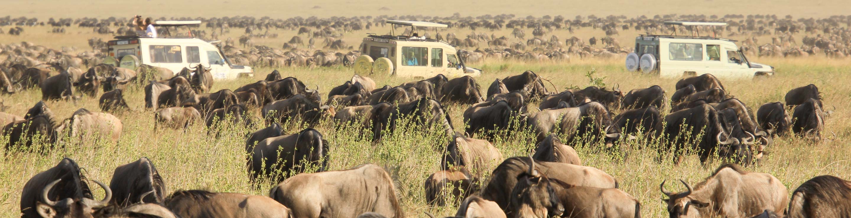 Tanzanie et Aanzibar, juste magique