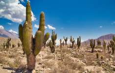 un titre pour la photo 2