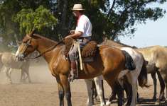 un titre pour la photo 4