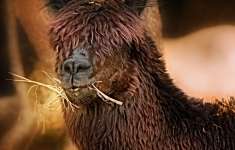 un titre pour la photo 7